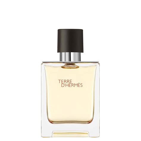 hermes terre d'hermes notes|terre d hermes fragrantica.